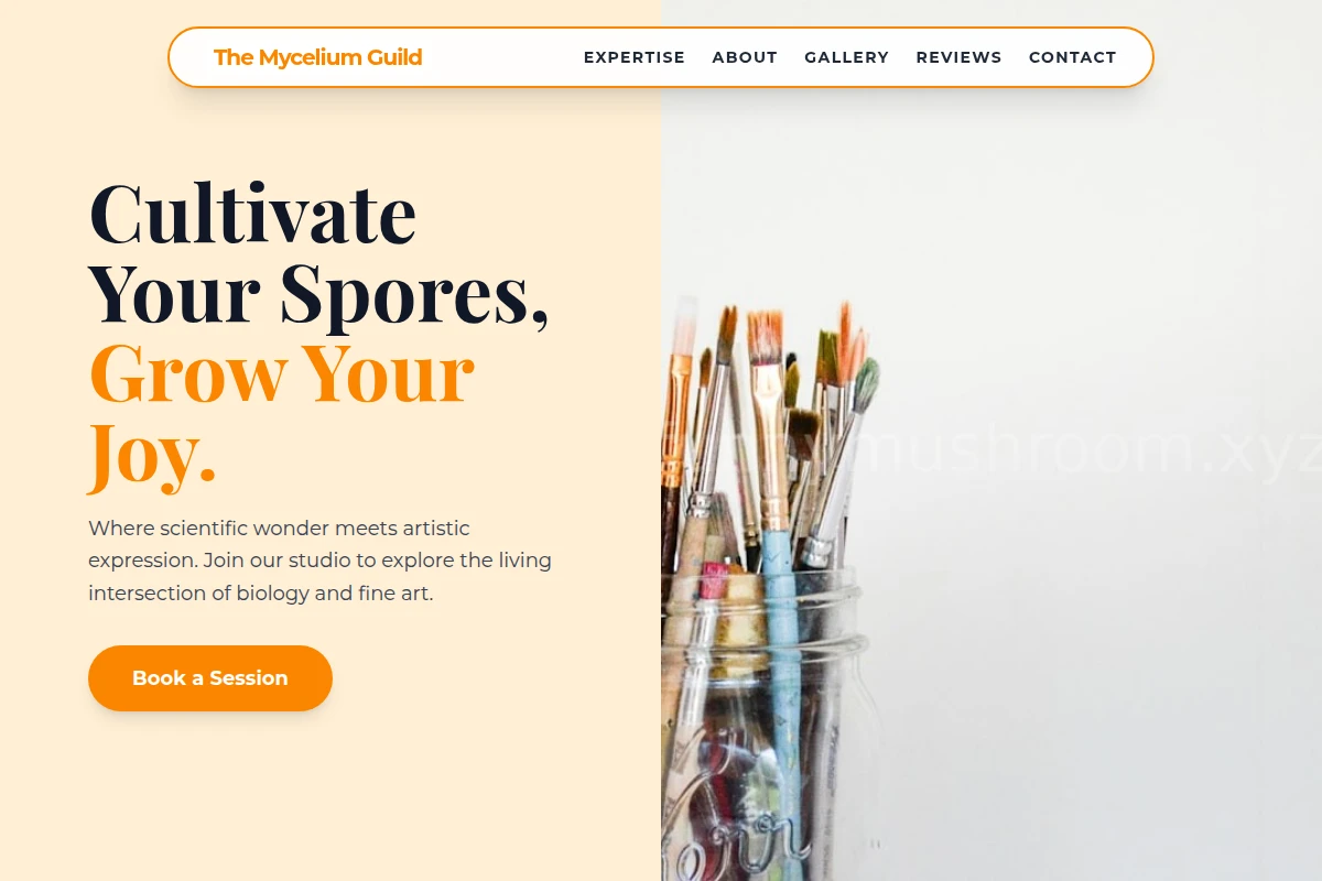 Stem Art Studio