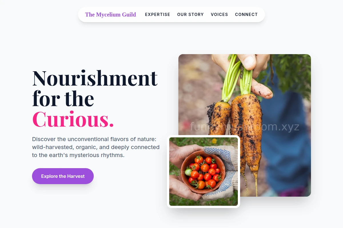 Oddity Organic Food